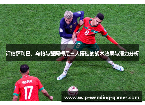 评估萨利巴、乌帕与楚阿梅尼三人搭档的战术效果与潜力分析